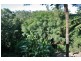 Eagle Heights QLD 4271
