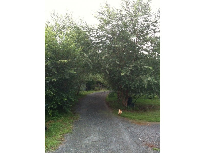 North Tamborine QLD 4272