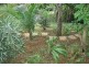 57 Paradise, Eagle Heights QLD 4271