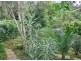 57 Paradise, Eagle Heights QLD 4271
