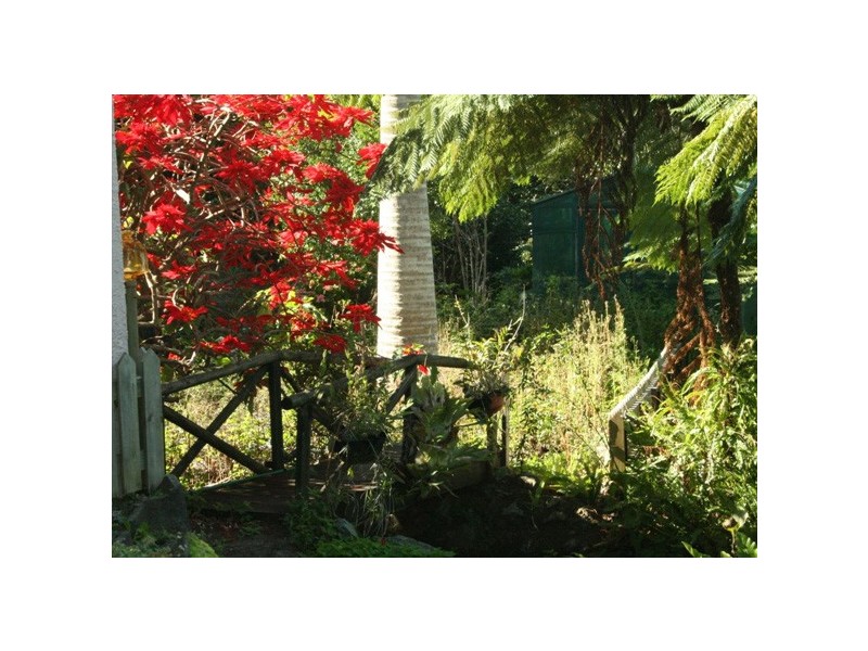 14 Foraker, Eagle Heights QLD 4271