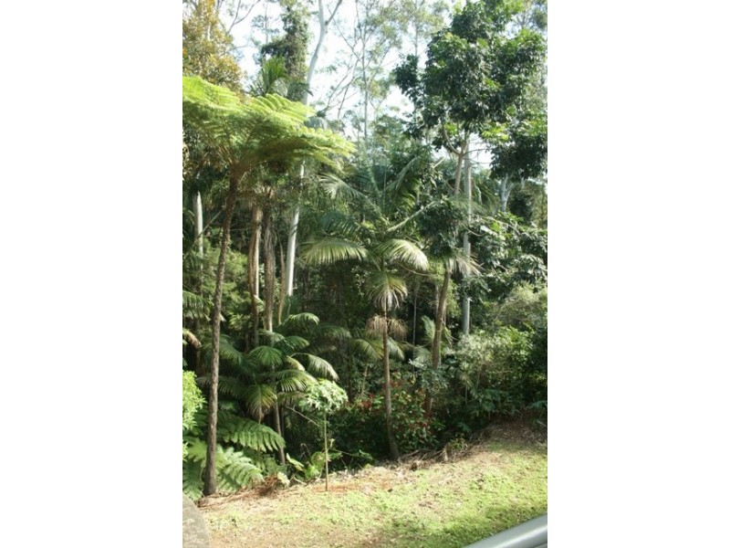 16 Lucania Court, Eagle Heights QLD 4271