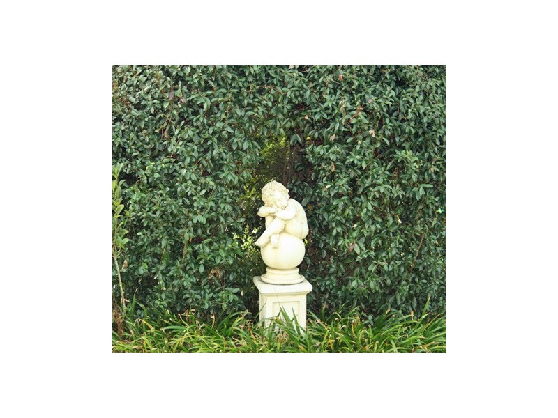 34 Kootenai, North Tamborine QLD 4272