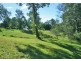 Tamborine Mountain QLD 4272