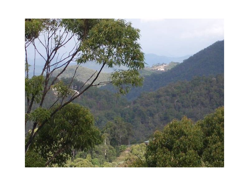 Tamborine Mountain QLD 4272