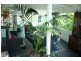 11 Mayon Court, Eagle Heights QLD 4271