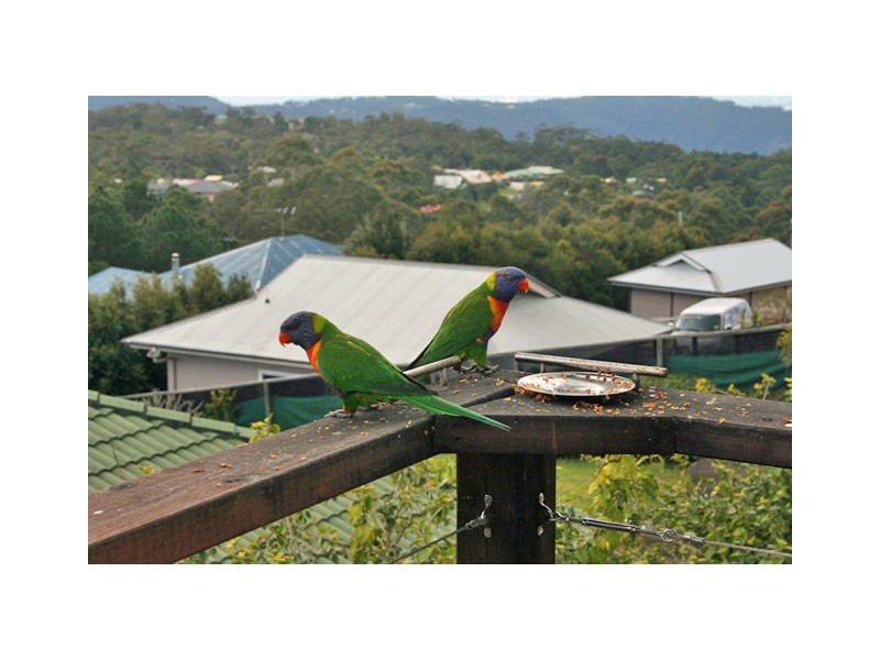 Eagle Heights QLD 4271