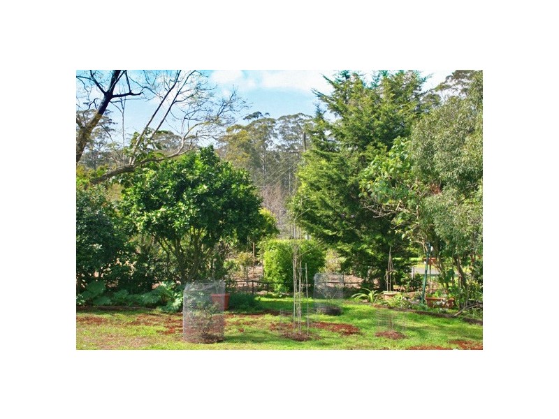 1 Arenga Drive, North Tamborine QLD 4272