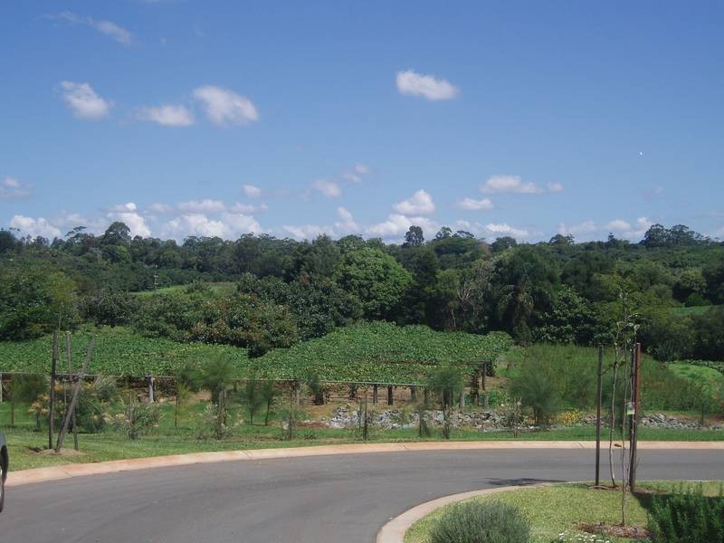 North Tamborine QLD 4272