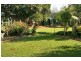 Tamborine Mountain QLD 4272