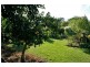 Tamborine Mountain QLD 4272