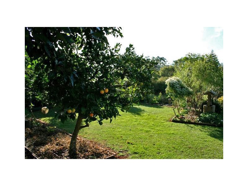 Tamborine Mountain QLD 4272