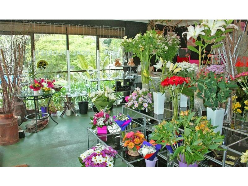 North Tamborine QLD 4272