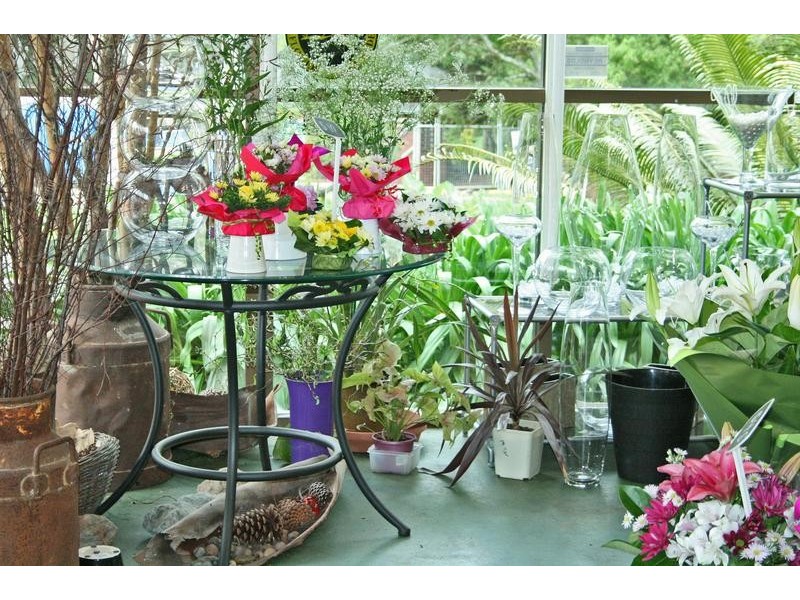 North Tamborine QLD 4272