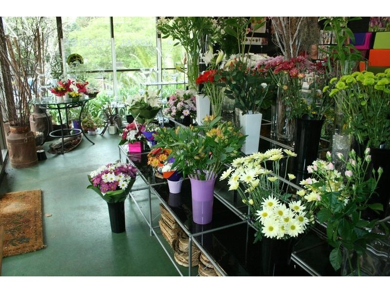 North Tamborine QLD 4272