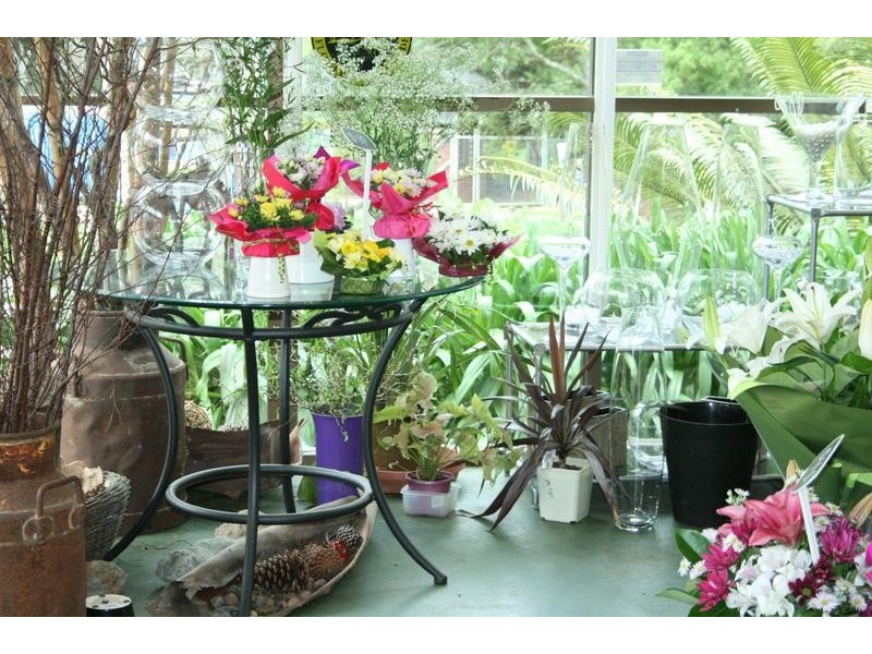 North Tamborine QLD 4272