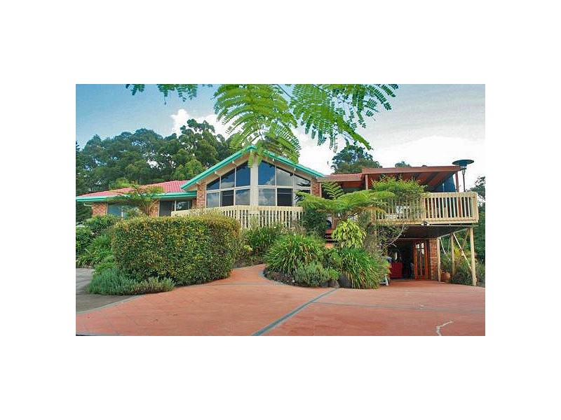 Tamborine Mountain QLD 4272