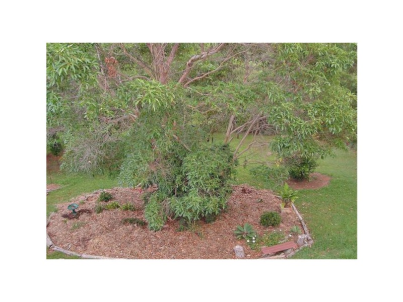 Eagle Heights QLD 4271