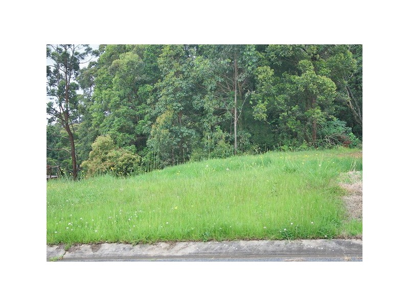 Tamborine Mountain QLD 4272