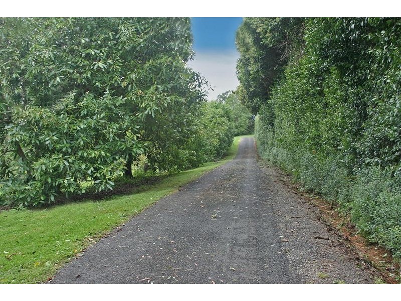 54 Alpine Terrace, Tamborine Mountain QLD 4272