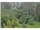 54 Alpine Terrace, Tamborine Mountain QLD 4272