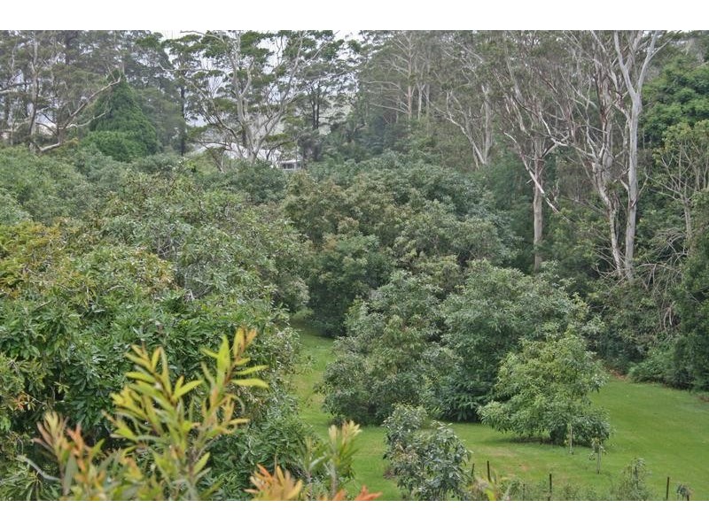 54 Alpine Terrace, Tamborine Mountain QLD 4272