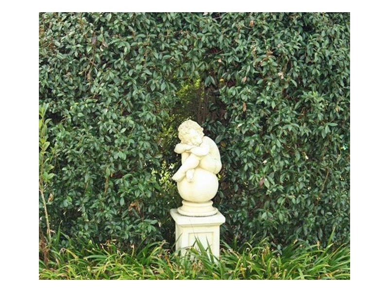 34 Kootenai Drive, North Tamborine QLD 4272