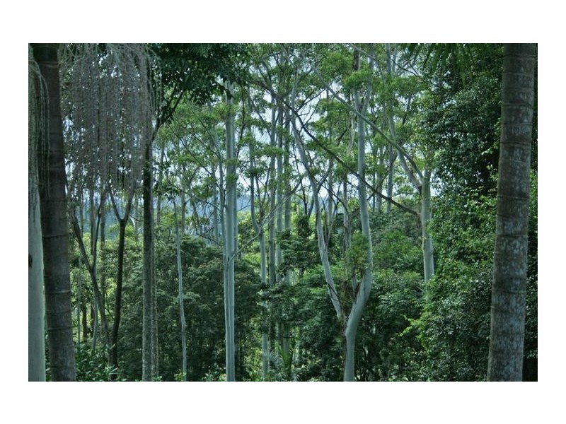 Eagle Heights QLD 4271