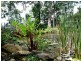 29 Eagles Retreat Place, Tamborine Mountain QLD 4272