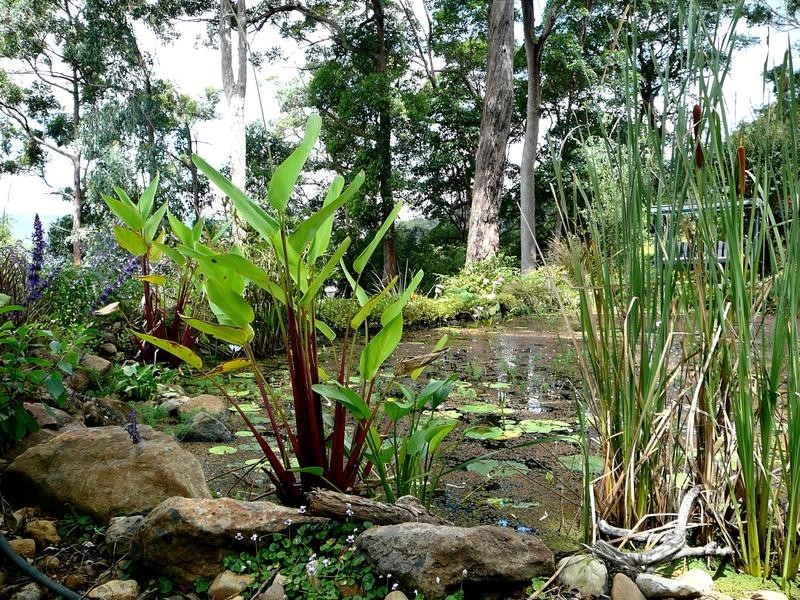 29 Eagles Retreat Place, Tamborine Mountain QLD 4272