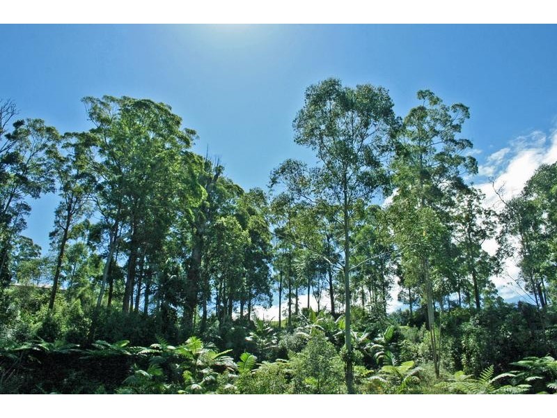 19 Eagles Retreat Place, Eagle Heights QLD 4271