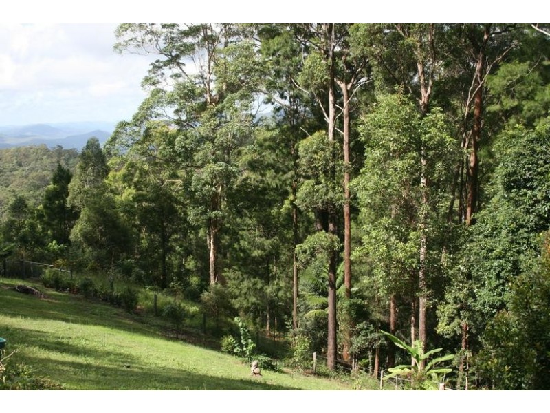 185 Wongawallan Road, Eagle Heights QLD 4271