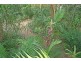 Eagle Heights QLD 4271