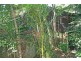 Eagle Heights QLD 4271