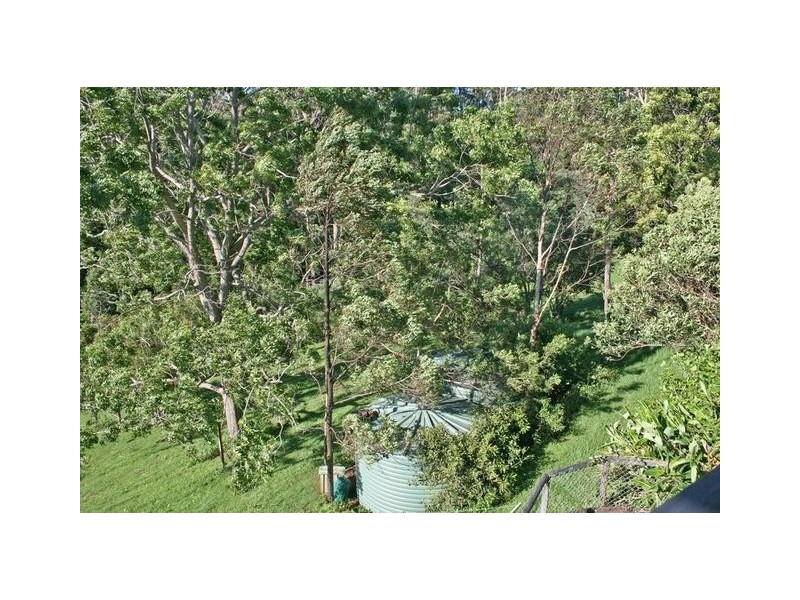 Tamborine Mountain QLD 4272