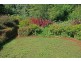 Tamborine Mountain QLD 4272