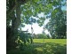 Tamborine Mountain QLD 4272