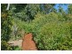 Tamborine Mountain QLD 4272