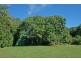 Tamborine Mountain QLD 4272