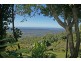 Tamborine Mountain QLD 4272
