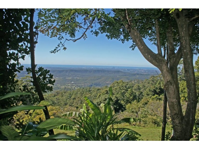 Tamborine Mountain QLD 4272