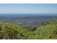 Tamborine Mountain QLD 4272