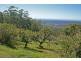 Tamborine Mountain QLD 4272