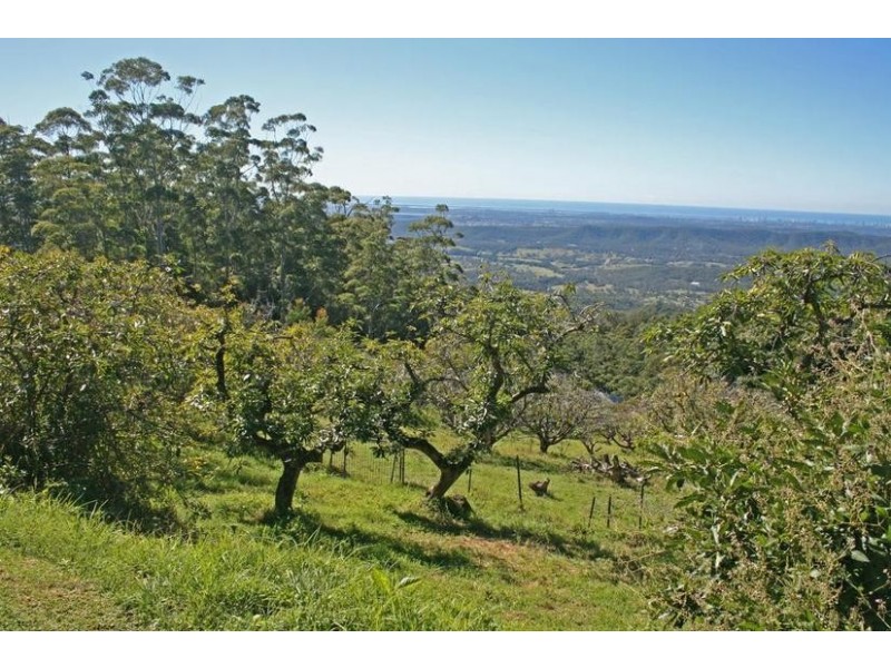 Tamborine Mountain QLD 4272