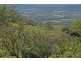 Tamborine Mountain QLD 4272
