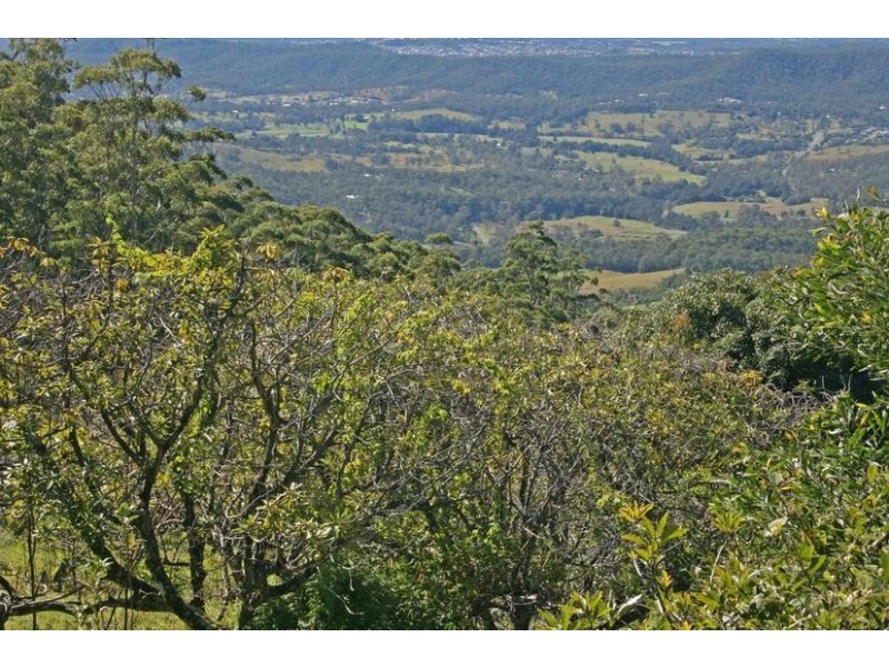 Tamborine Mountain QLD 4272