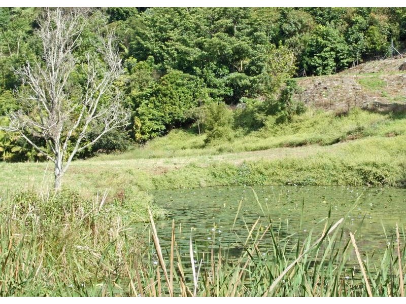 Lot 1,  The Shelf Road, Tamborine Mountain QLD 4272