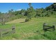 Lot 1,  The Shelf Road, Tamborine Mountain QLD 4272