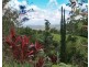 Tamborine Mountain QLD 4272