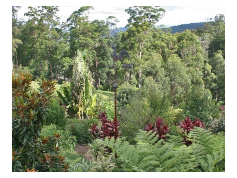 Tamborine Mountain QLD 4272